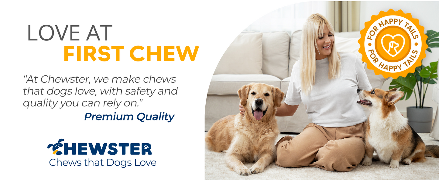 Masticables de queso natural CHEWSTER para perros tamaño XL