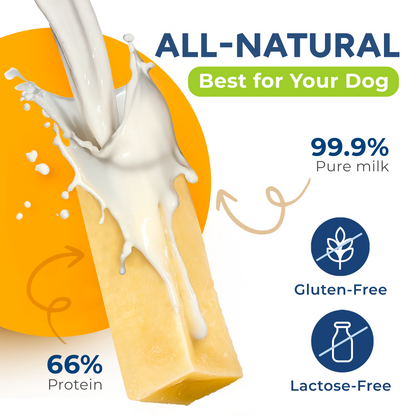 Masticables de queso natural CHEWSTER para perros tamaño XXL