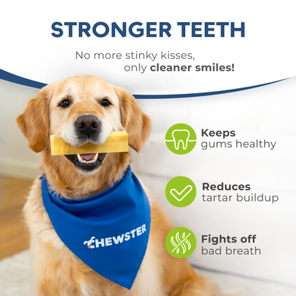 Masticables de queso natural CHEWSTER para perros tamaño XXL