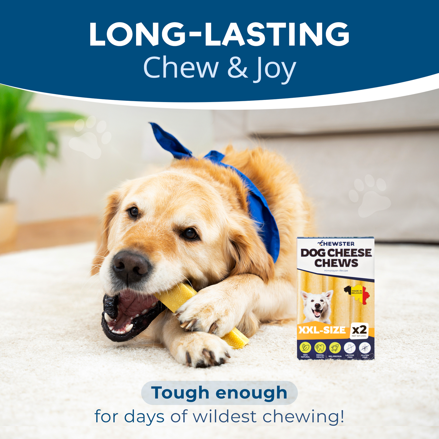 Masticables de queso natural CHEWSTER para perros tamaño XXL