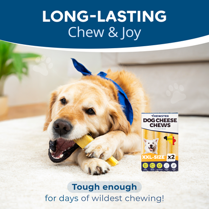 Masticables de queso natural CHEWSTER para perros tamaño XXL
