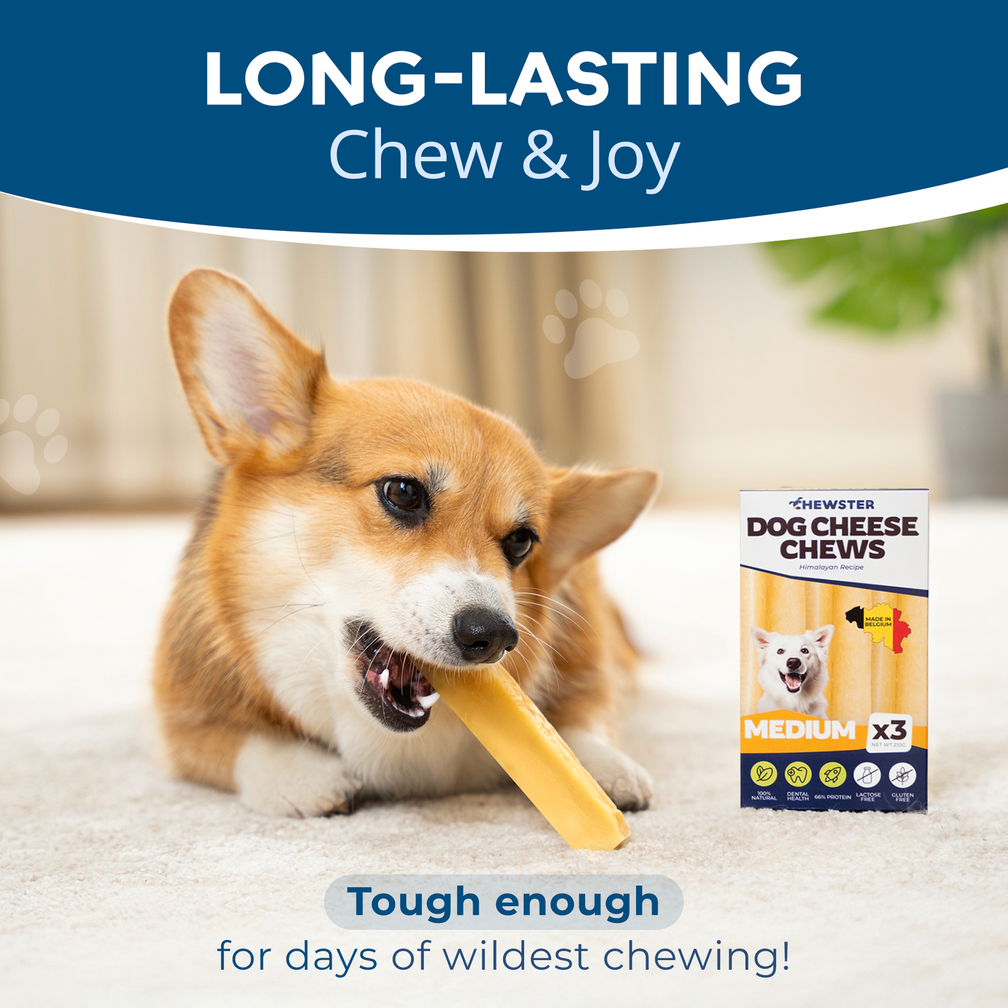 Masticables de queso natural CHEWSTER para perros, tamaño M 